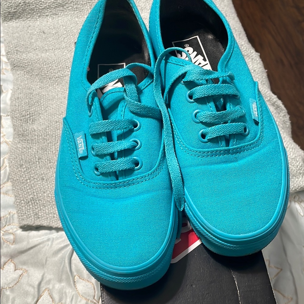Vans Vibrant Blue Canvas Shoes